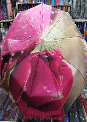 Зонт #21155790
