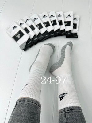 Носки 22419921