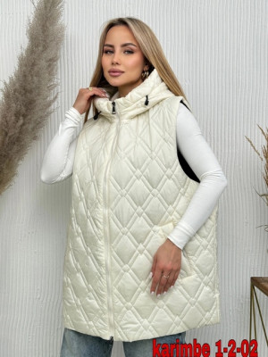 Жилет #22629353