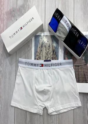 Трусы #22889012