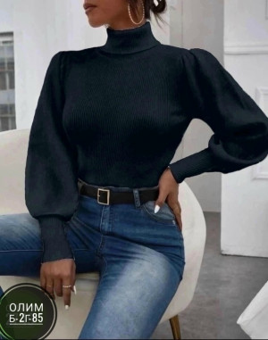 Водолазка 23031259