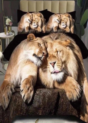 Постельное белье 23137362