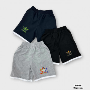 Шорты #23192508