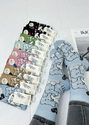 Носки #23211639