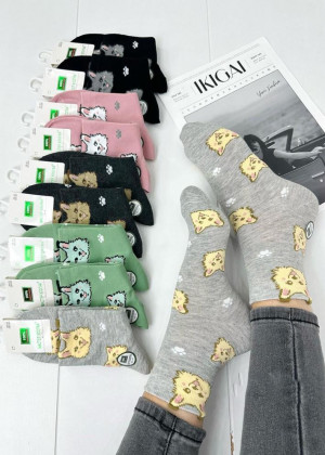 Носки #23211657