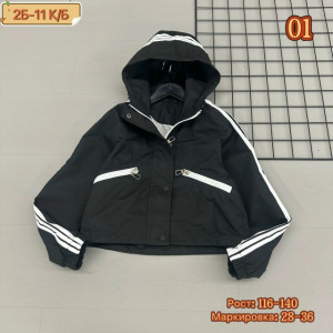 Ветровка #23212019