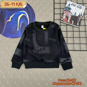 Толстовка #23261545