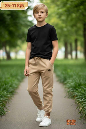 Штаны #23271028