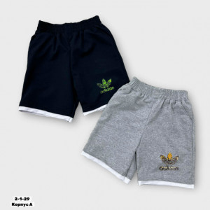 Шорты #23277562