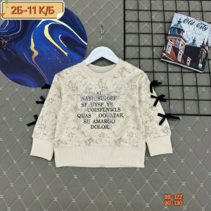 Толстовка #23285848