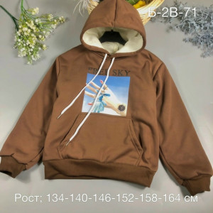 Толстовка #23296399