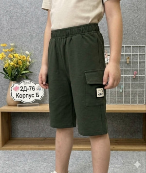 Шорты #23324242