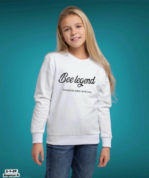 Толстовка #23327710