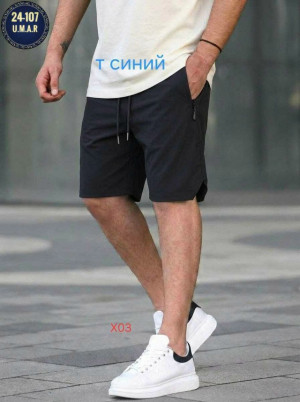 Шорты 23393262