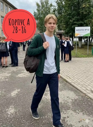 Брюки #23455619