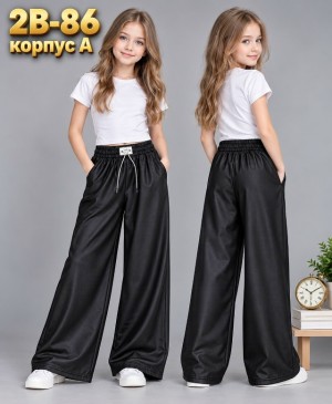 Штаны 23523115