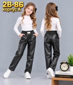 Штаны #23523116