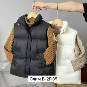 Жилет #23543883