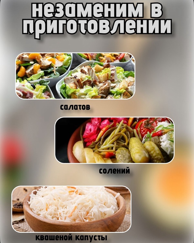 Шинковка 23003765
