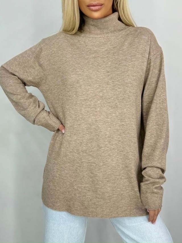 Водолазка 23018836