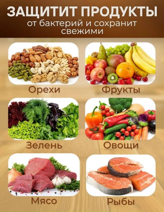 Вакууматор кухонный 23036554