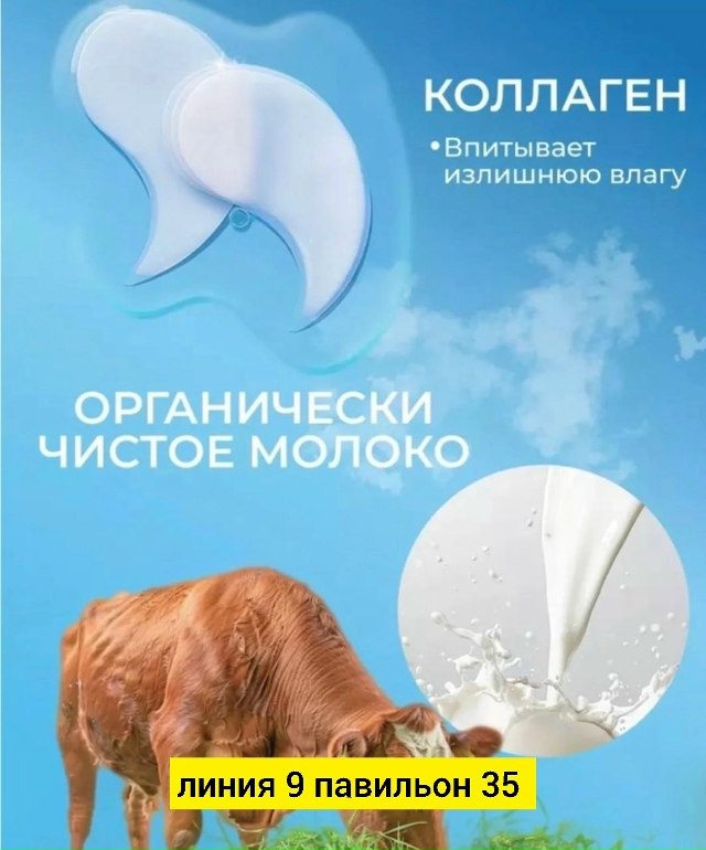 Артикул 23174554